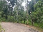 Land For Sale In Kalawana