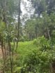 Land For Sale In Kalawana
