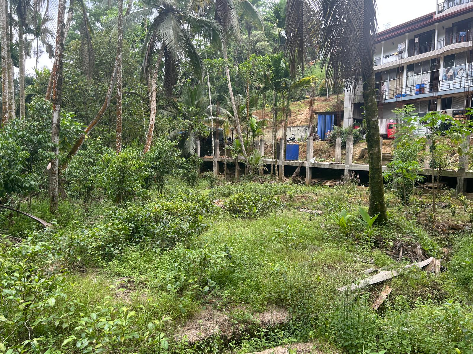 Land For Sale In Kalawana