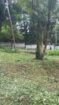 Land for Sale Gampaha