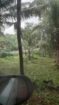 Land for Sale Gampaha