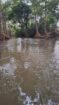 Land for Sale Wellawaya
