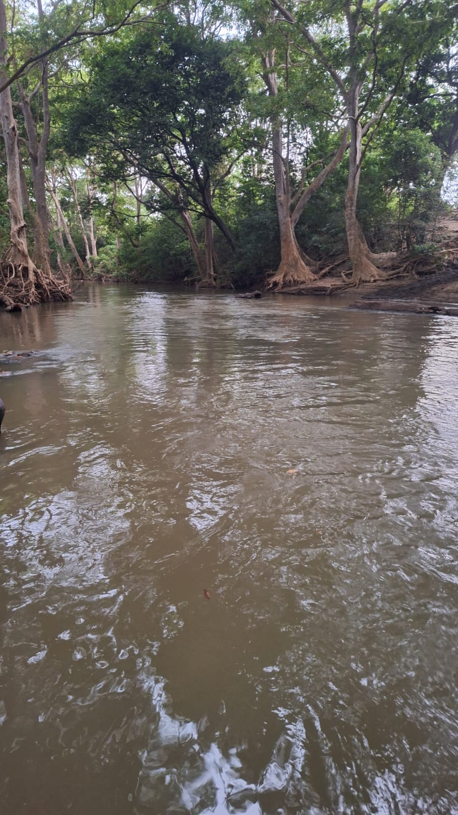 Land for Sale Wellawaya