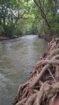 Land for Sale Wellawaya