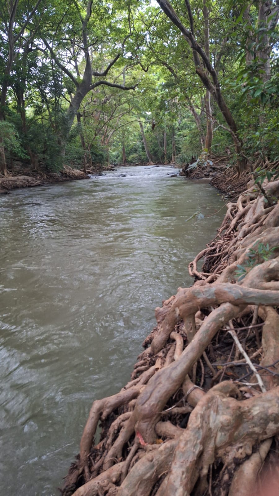 Land for Sale Wellawaya