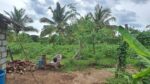 Land for Sale Wellawaya