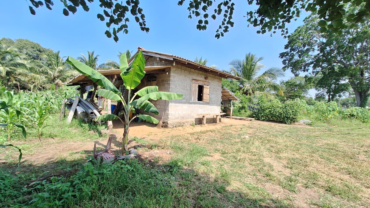 Land for Sale Wellawaya