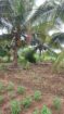 Land for Sale Wellawaya