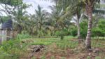 Land for Sale Wellawaya