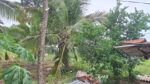 Land for Sale Wellawaya