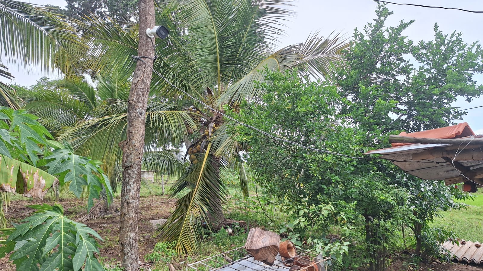 Land for Sale Wellawaya