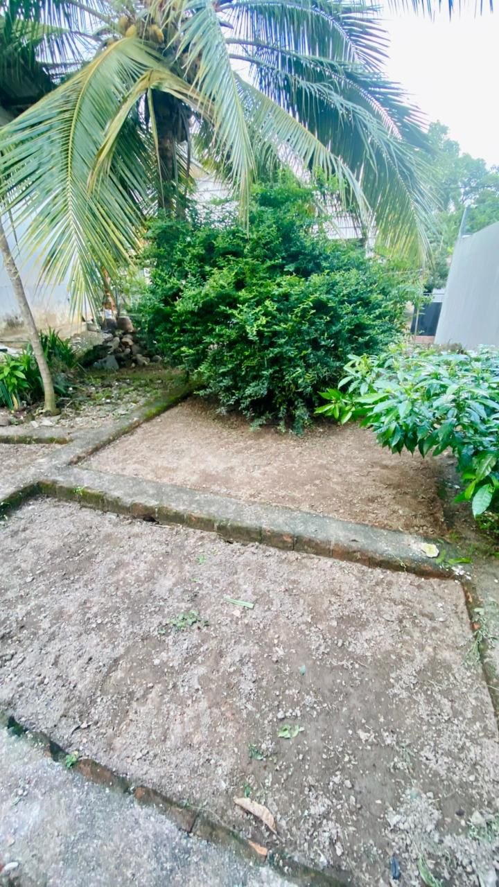 Land for Sale – Gothatuwa / ගොතටුව, නින්දහේන ඉඩමක් විකිණීමට