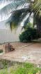 Land for Sale – Gothatuwa / ගොතටුව, නින්දහේන ඉඩමක් විකිණීමට