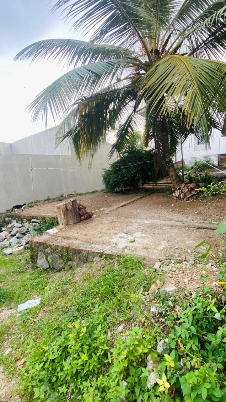 Land for Sale – Gothatuwa / ගොතටුව, නින්දහේන ඉඩමක් විකිණීමට