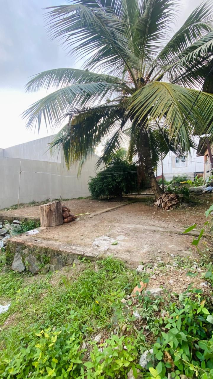 Land for Sale – Gothatuwa / ගොතටුව, නින්දහේන ඉඩමක් විකිණීමට