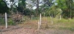 Land for Sale Pitipana