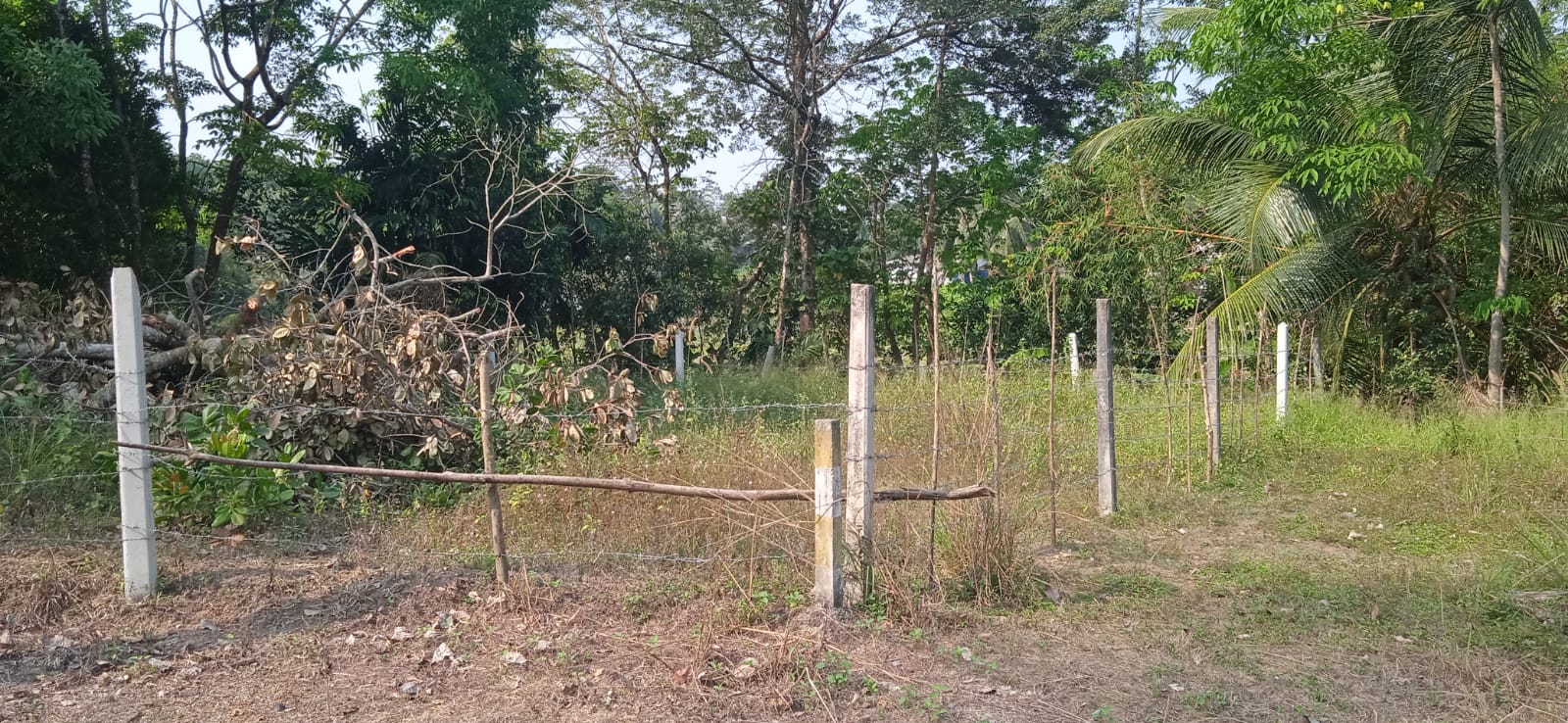 Land for Sale Pitipana