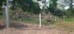 Land for Sale Pitipana