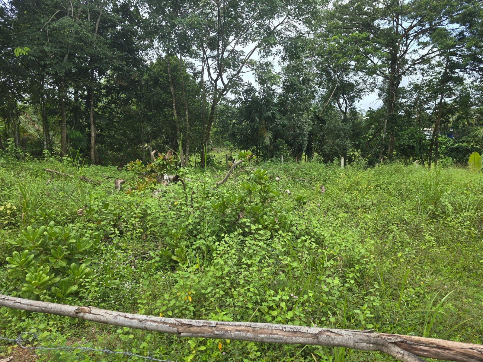 Land for Sale Pitipana