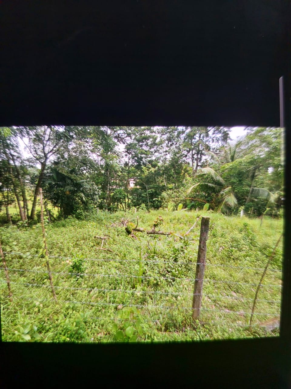 Land for Sale Pitipana