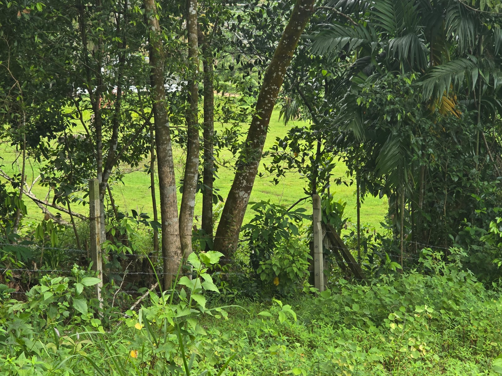 Land for Sale Pitipana