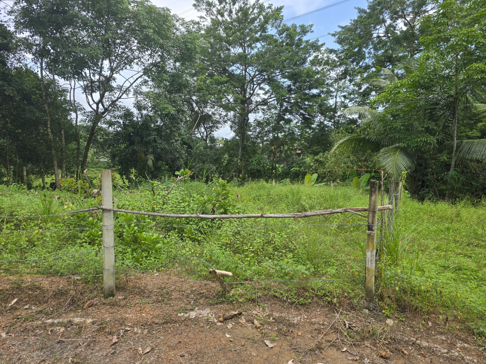 Land for Sale Pitipana