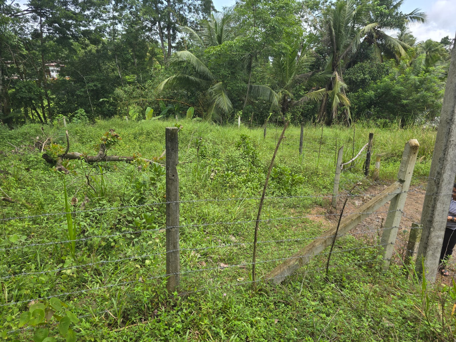 Land for Sale Pitipana