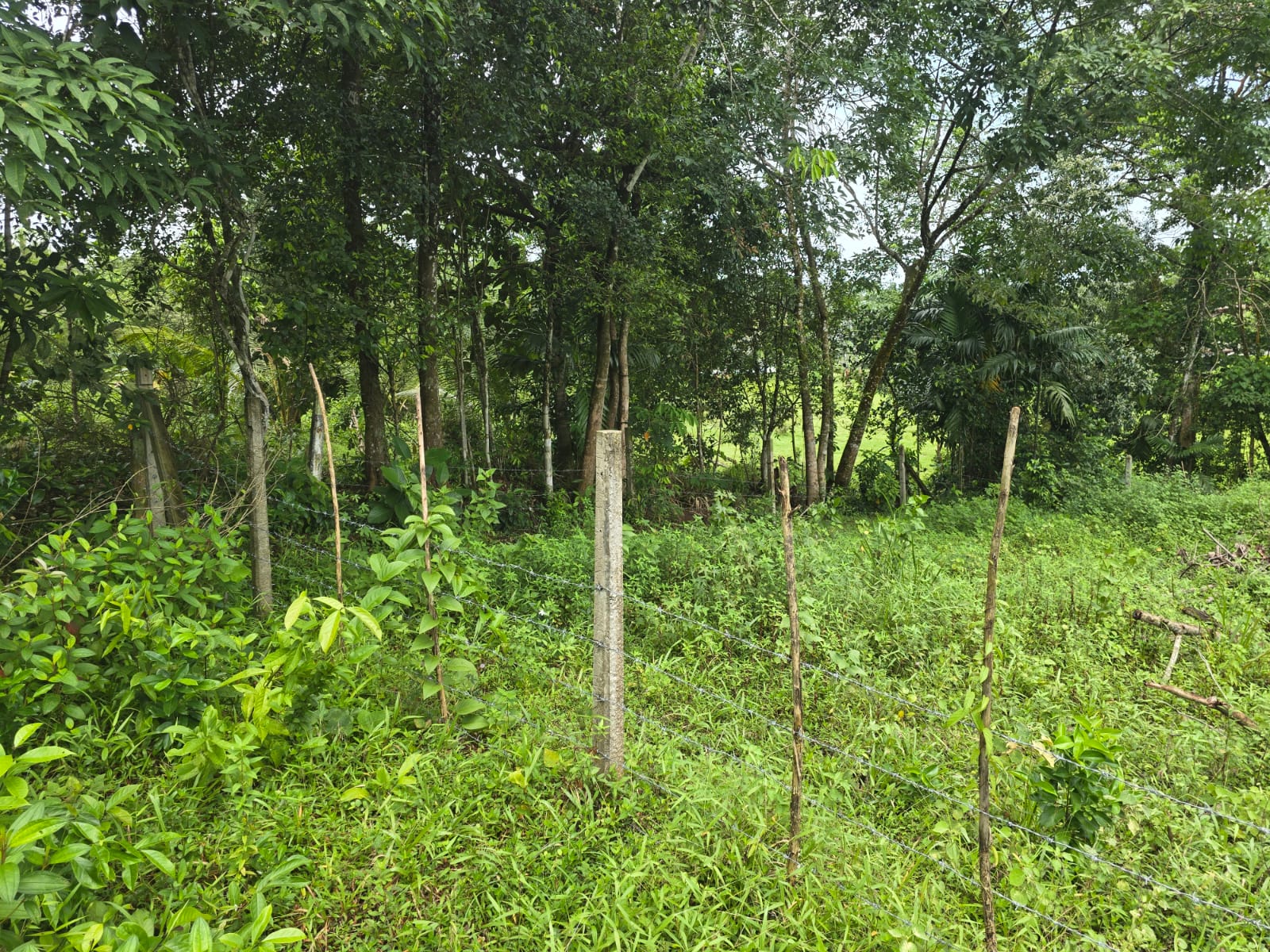 Land for Sale Pitipana