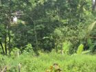 Land for Sale Pitipana