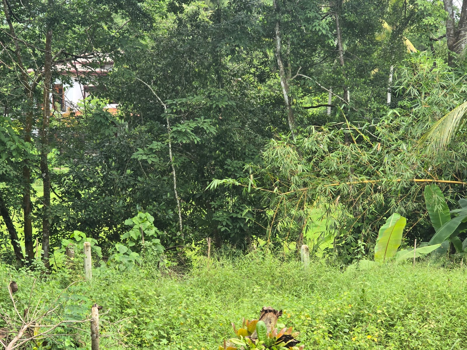 Land for Sale Pitipana