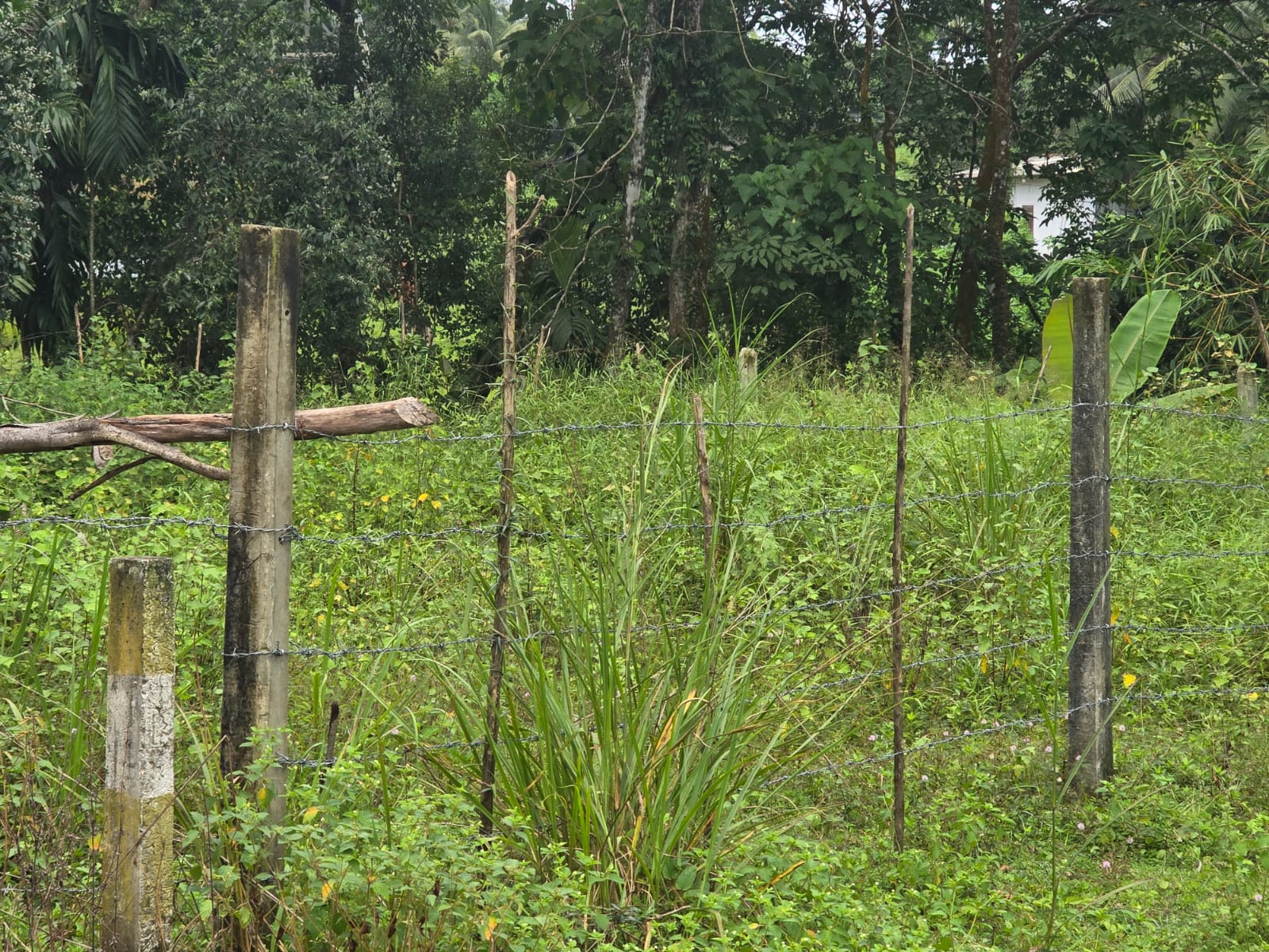 Land for Sale Pitipana