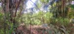 Diyatalawa මනරම් කදු වලල්ලකින් වටවු පර්චස් 185ක ඉඩම. (නිවස සමග)