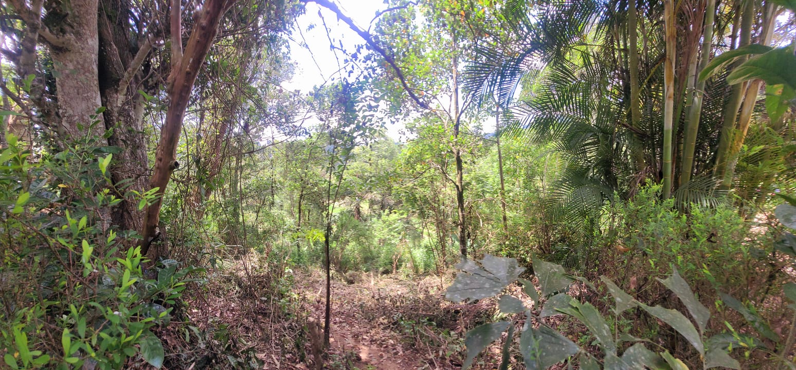 Diyatalawa මනරම් කදු වලල්ලකින් වටවු පර්චස් 185ක ඉඩම. (නිවස සමග)