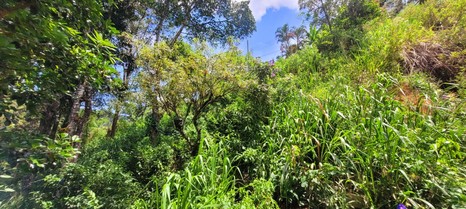Diyatalawa මනරම් කදු වලල්ලකින් වටවු පර්චස් 185ක ඉඩම. (නිවස සමග)
