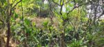 Diyatalawa මනරම් කදු වලල්ලකින් වටවු පර්චස් 185ක ඉඩම. (නිවස සමග)