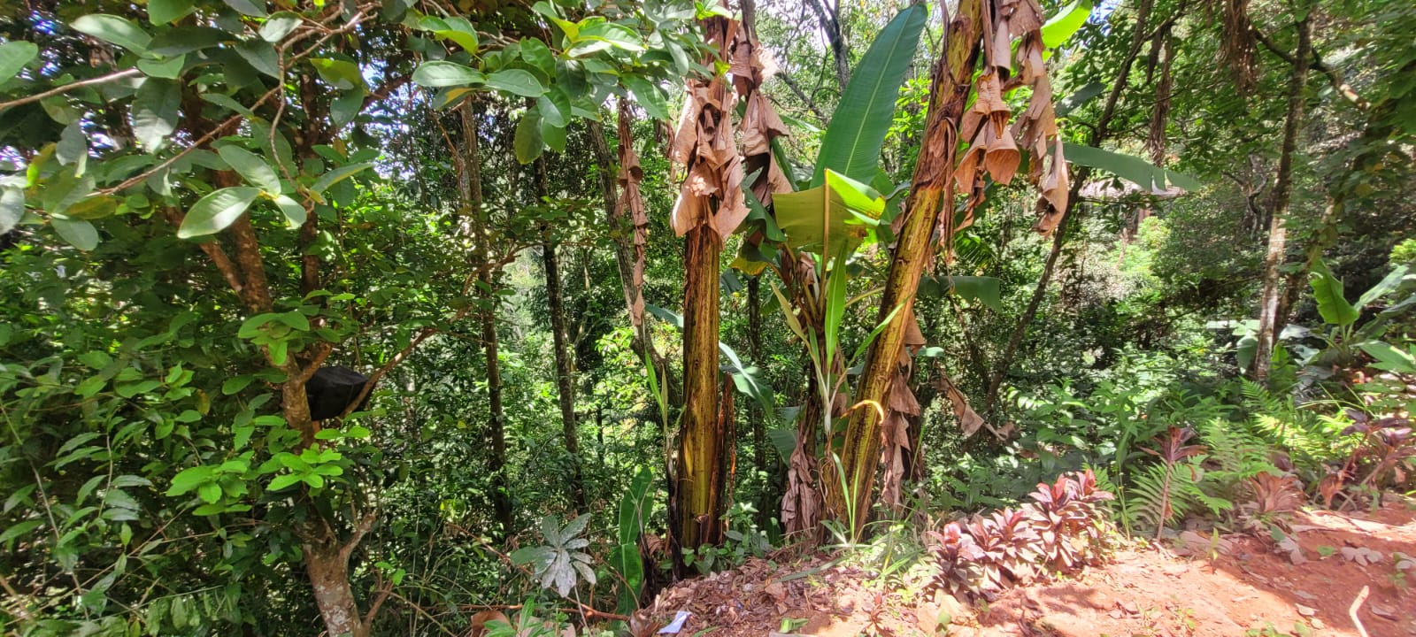 Diyatalawa මනරම් කදු වලල්ලකින් වටවු පර්චස් 185ක ඉඩම. (නිවස සමග)