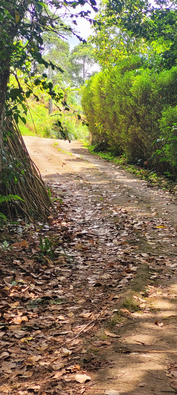 Diyatalawa මනරම් කදු වලල්ලකින් වටවු පර්චස් 185ක ඉඩම. (නිවස සමග)