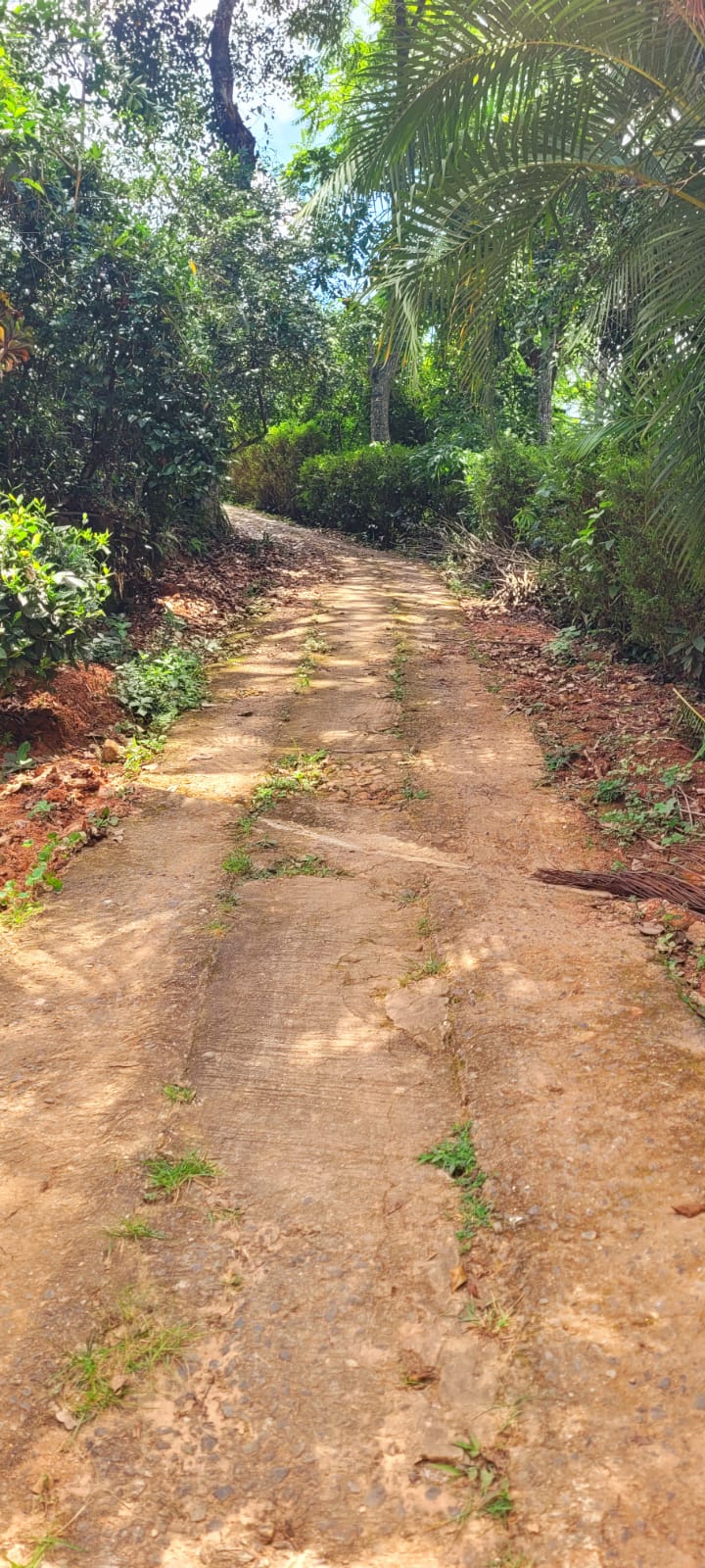 Diyatalawa මනරම් කදු වලල්ලකින් වටවු පර්චස් 185ක ඉඩම. (නිවස සමග)