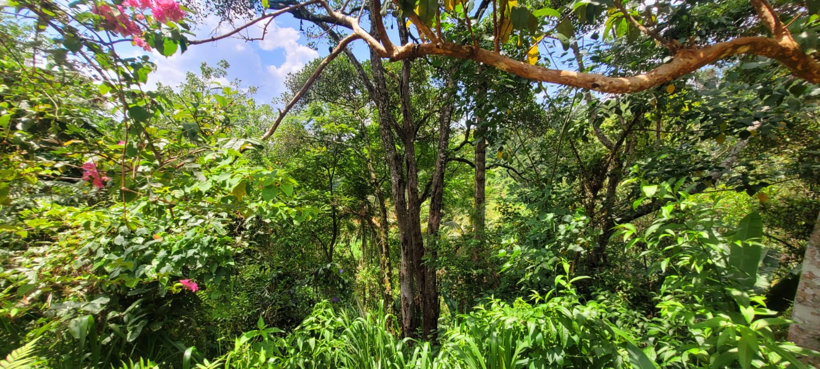 Diyatalawa මනරම් කදු වලල්ලකින් වටවු පර්චස් 185ක ඉඩම. (නිවස සමග)