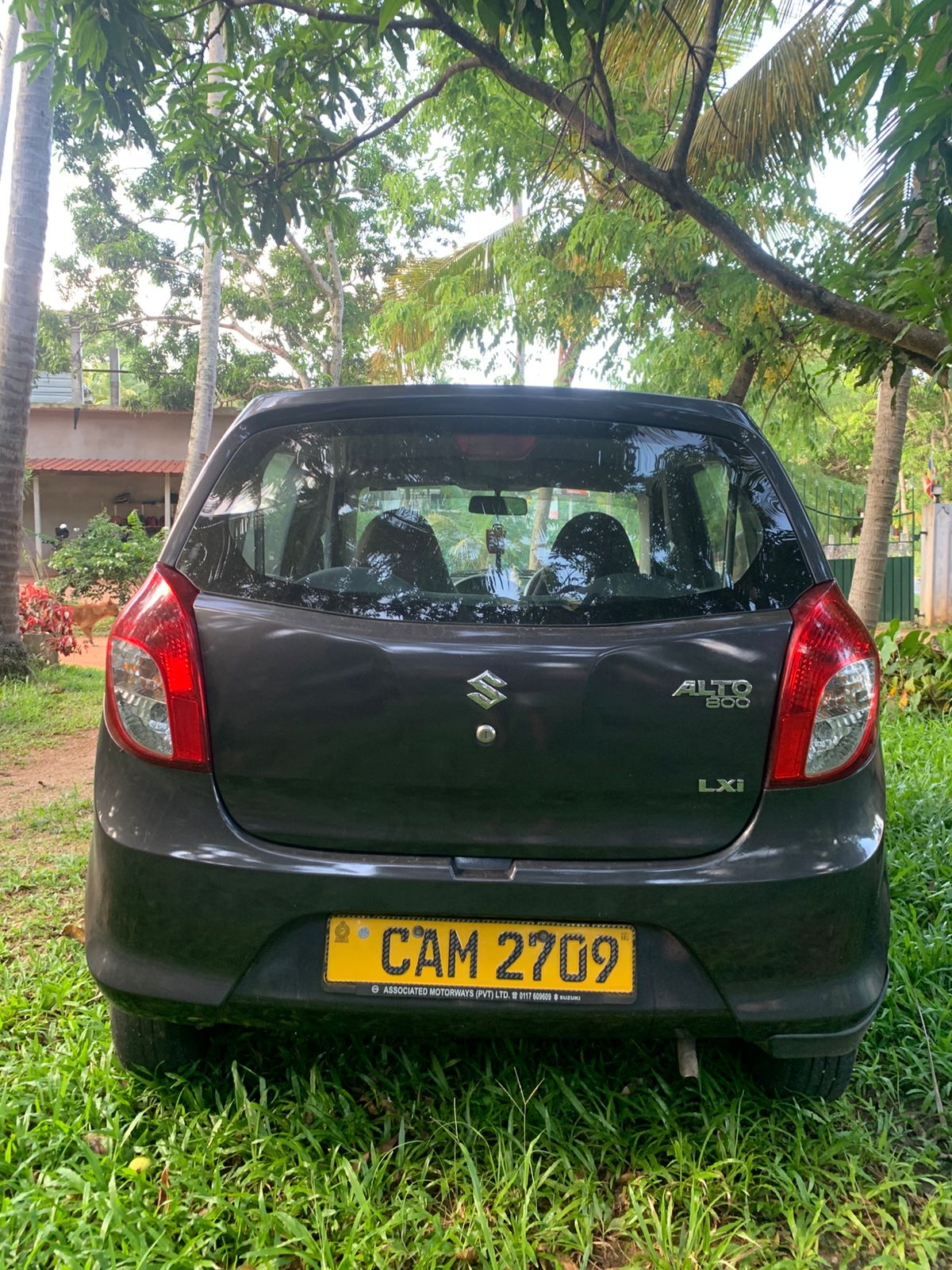 Suzuki Alto LXi 2015