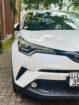 Toyota CHR NGX50 2017