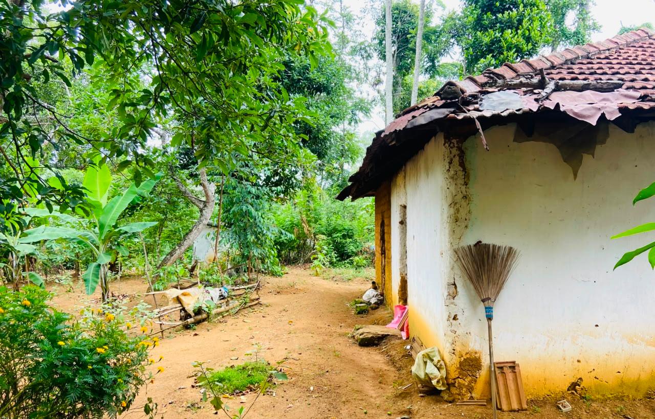 Land for Sale Bandarawela