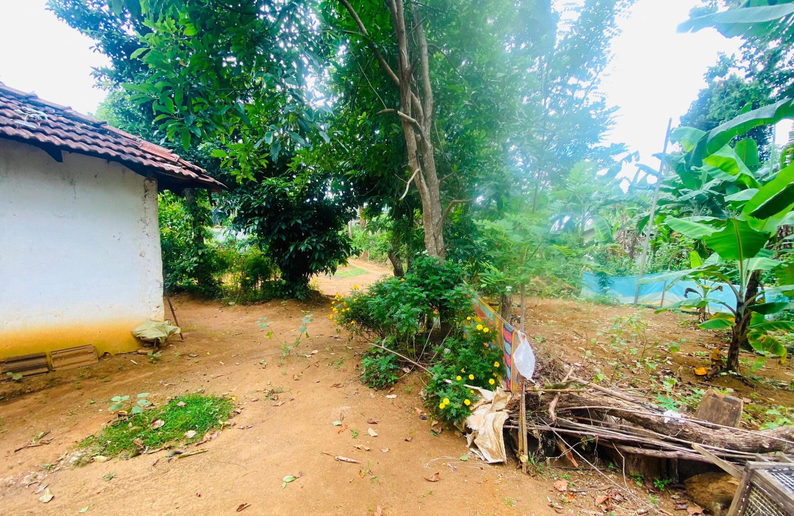 Land for Sale Bandarawela