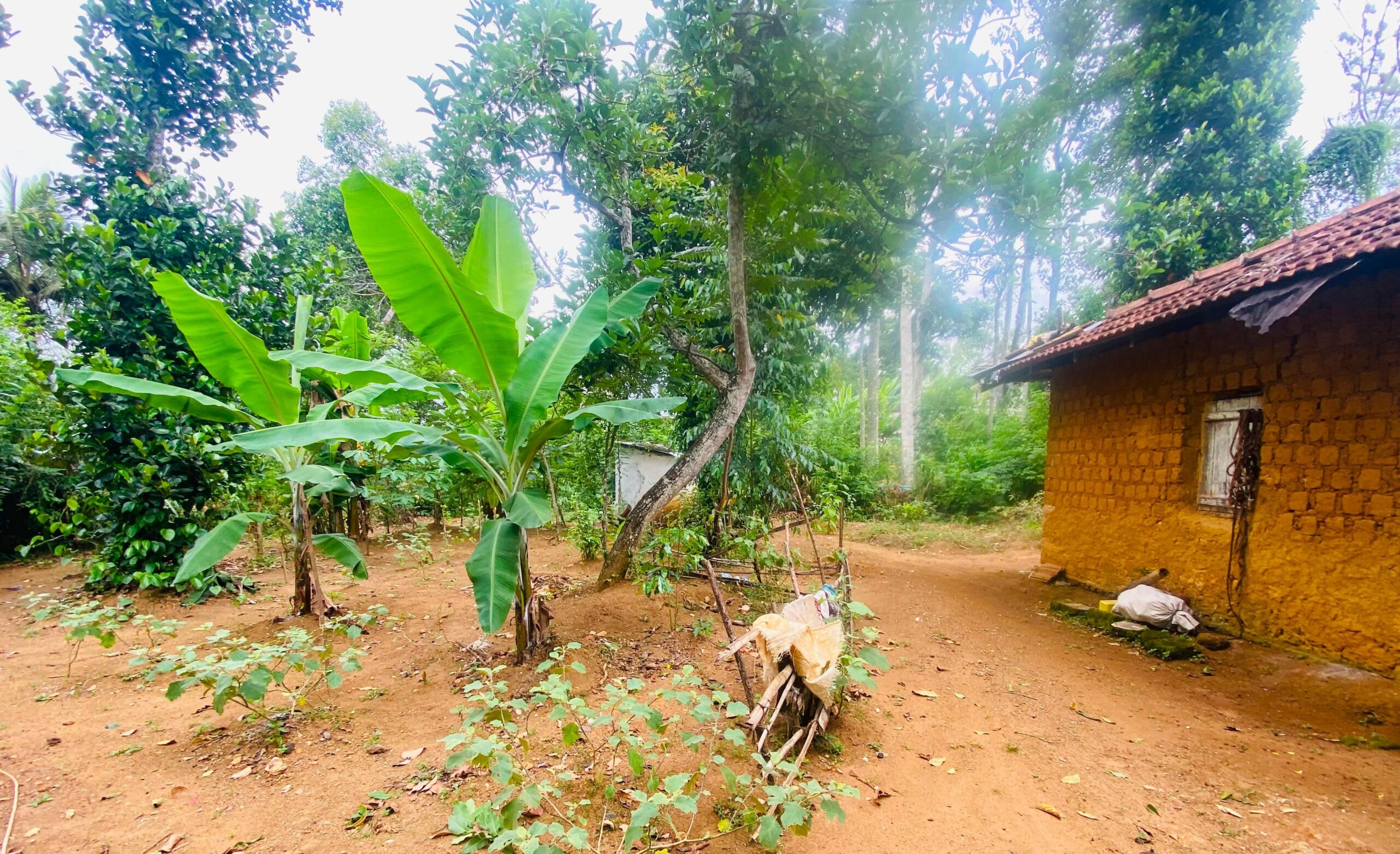 Land for Sale Bandarawela