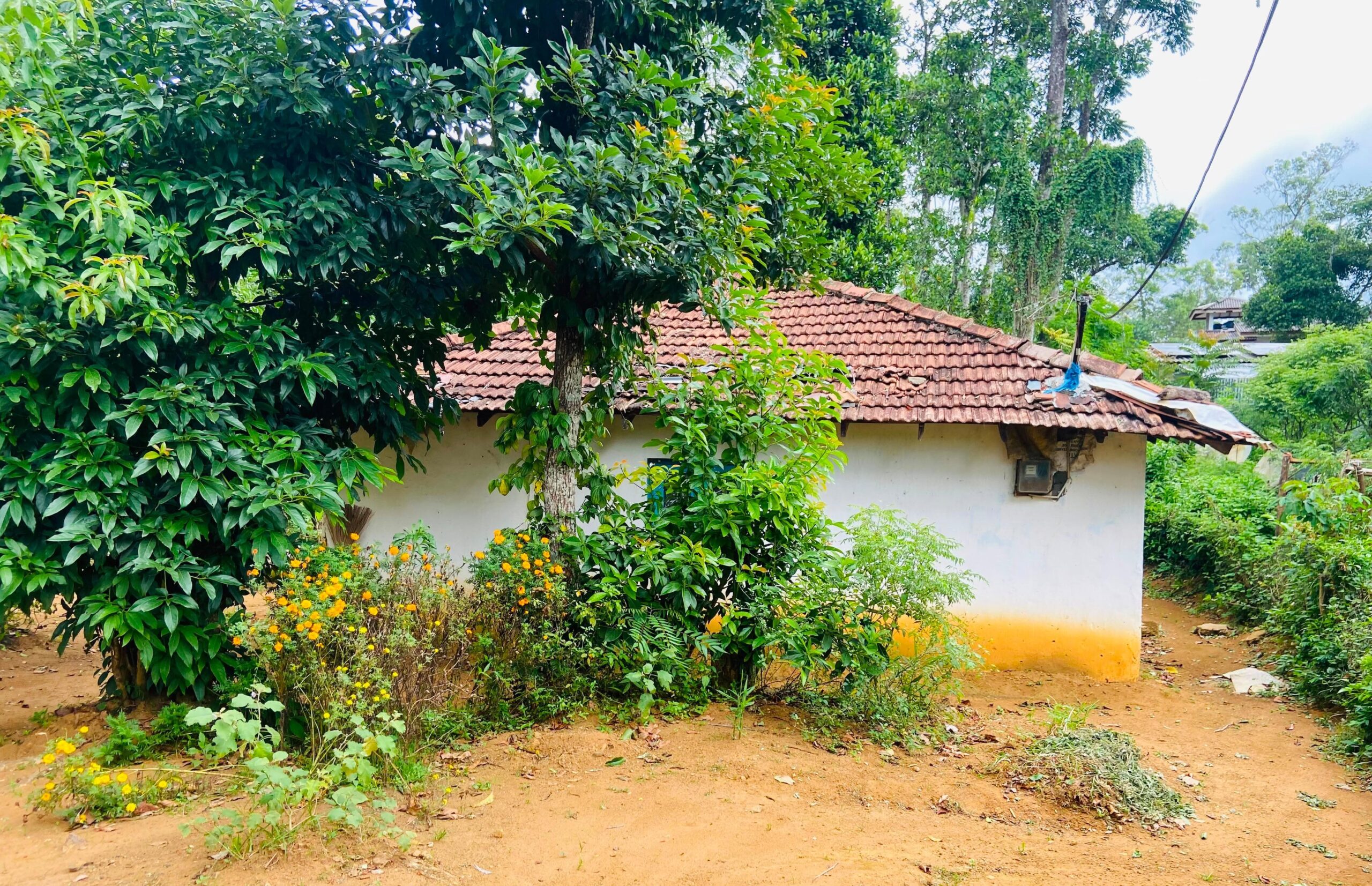 Land for Sale Bandarawela