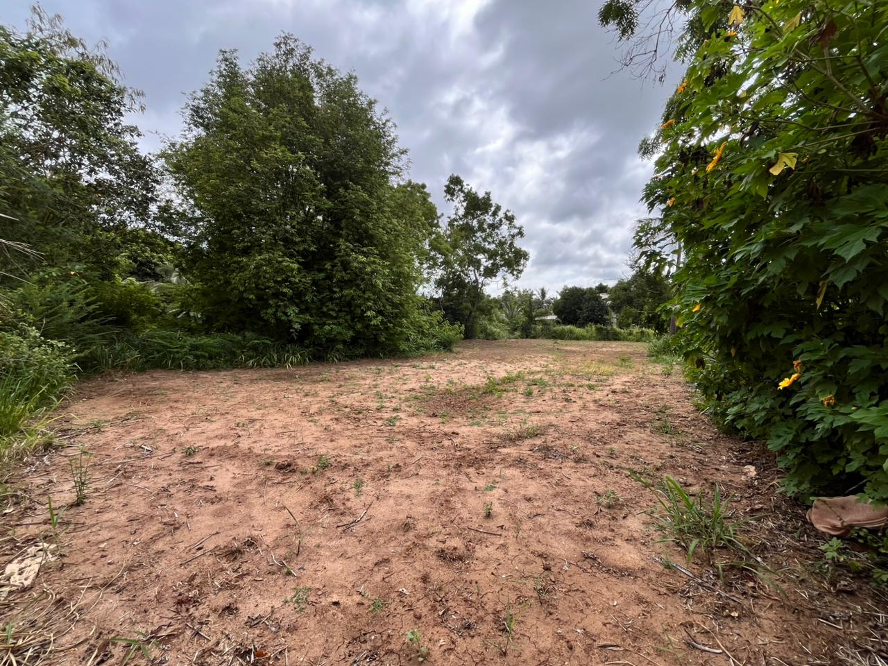 Land For Sale In Anuradhapura City