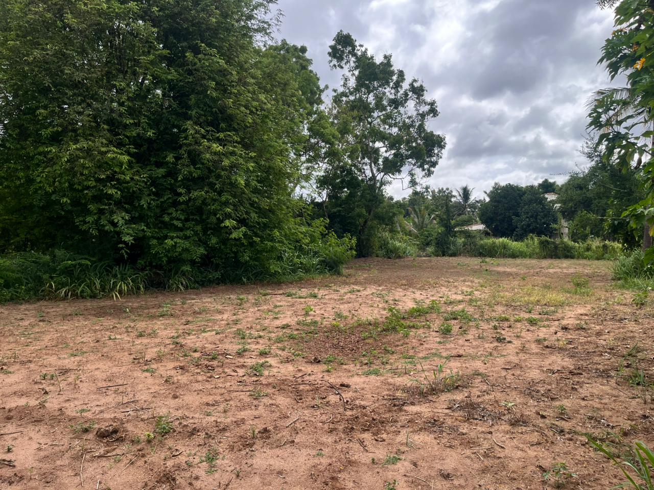 Land For Sale In Anuradhapura City