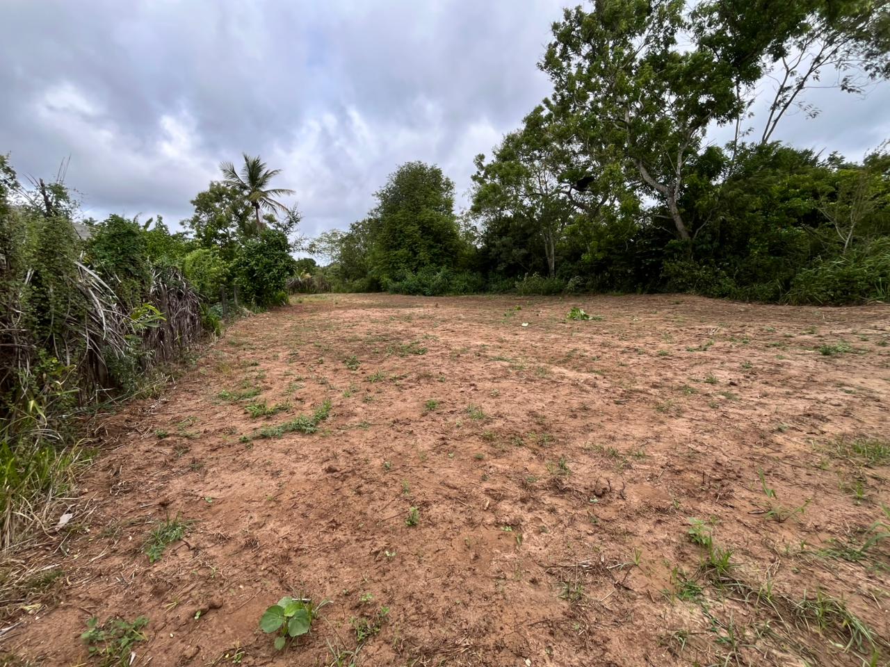 Land For Sale In Anuradhapura City