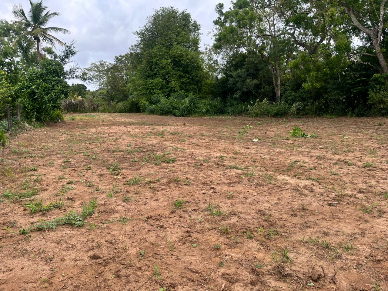 Land For Sale In Anuradhapura City