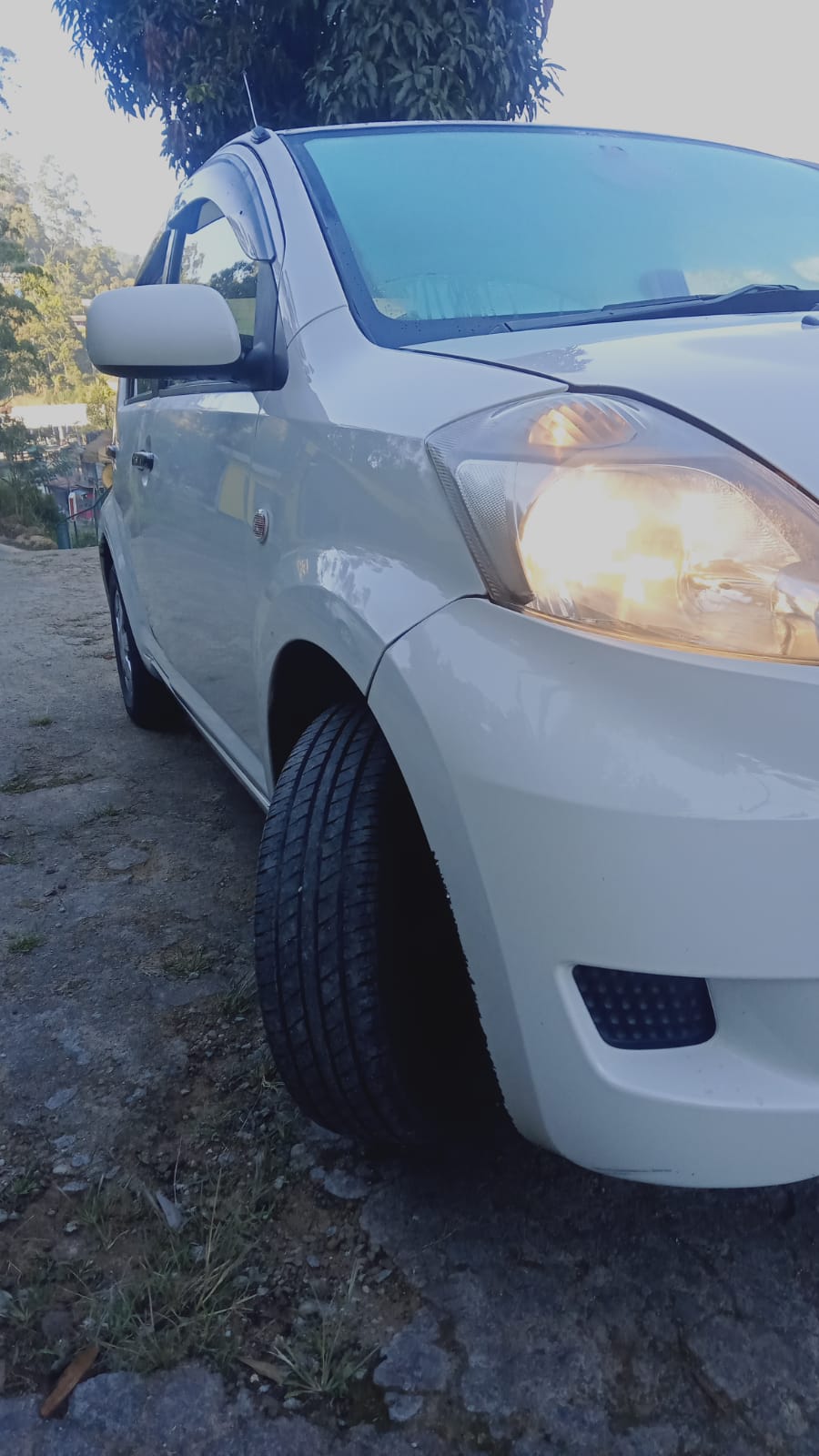 Toyota Passo 2009